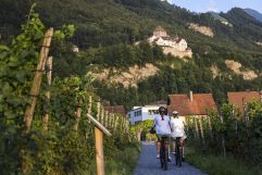 Routen für Genussradfahrer (Liechtenstein Marketing)
