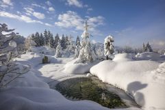 Schnee so weit das Auge reicht (c) Dabernig (Panorama Royal)