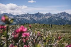 Stoanamandl Wanderung (c) Marika Unterladstätter (Tratterhof)