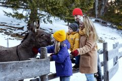 Tierische Freunde auf der Winterwanderung (c) Daniela Jakob (Oberjoch - Familux Resort)