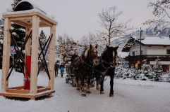 Trauhafte Kutschenfahrt im Winter-Wonder-Land © Maria Harms Photography (Wildkogel-Arena)