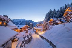 Verschneiter Pfad durch das Chaletdorf (c) Franz Reifmüller (Naturdorf Oberkühnreit)