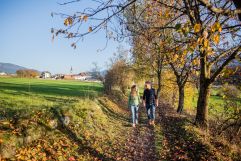 Wandern durch Bruneck (c) wisthaler.com (Dolomitenregion Kronplatz)