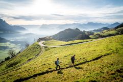 Wandern in den Bergen (c) TVB Kaiserwinkl (Das Walchsee Aktivresort)