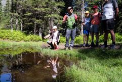 Wandern in der Natur (c)Lukas Pilz (TVB Rauris)