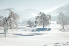 Weiße Winterlandschaft (c) Jukka Pehkonen (Sportresidenz Zillertal)