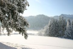 Winterlicher Landschaftsblick (Panorama Royal)