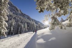 Winterwandern Steg (Liechtenstein Marketing)