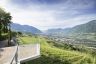 Blick auf die Weinberge von der Hotelterrasse (c) Tourismusverein Dorf Tirol (Hotel Golserhof)