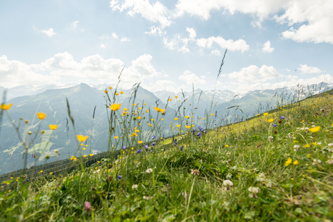 Bergpanorama (c) Marktl (IMPULS HOTEL TIROL)