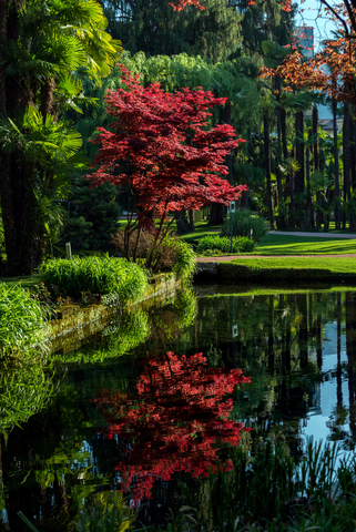 Bezaubernder Park des Hotels (Du Lac et Du Parc Grand Resort)