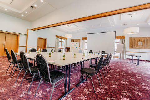 Businessmeetings im Seminarraum (Vitalhotel Gosau)