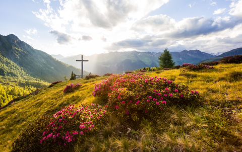 Das Gsieser Tal ein Paradies für Wanderer (c) Kamilla Photography (Hotel Quelle Nature Spa Resort)
