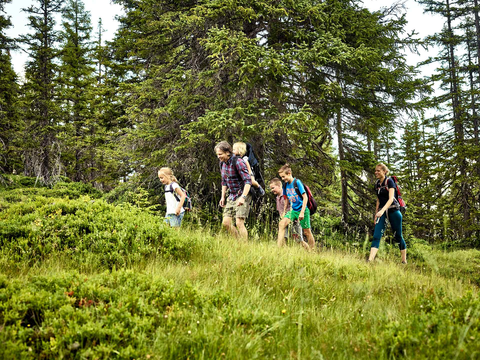 Familie wandert am Tillys Waldpfad (c) MAYA Inspiranto (Tourismusverband Rauris)