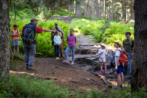 Führung durch die Rauriser Wanderwege (c) Lukas Pilz (TVB Rauris)