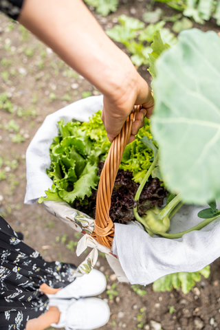 Gemüse von der Eco Farm (c) Throne &amp; Vine (Fontis luxury spa lodge)