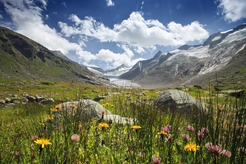 Hochgebirge mit Blumenwiese (c)Wildkogel - Arena Neukirchen &amp; Bramberg