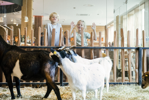 Kinder vorm Streichelzoo (c) Daniela Jakob (Dachsteinkönig - Familux Resort)