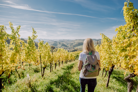 Märchenhafte Wanderung durch die Weinberge (c) Karin Bergmann (Ratscher Landhaus)