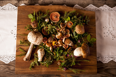 Pilze aus dem Tann Wald (Hotel Tann)