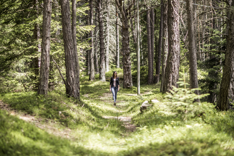 Spazieren im Tann Wald (Hotel Tann)