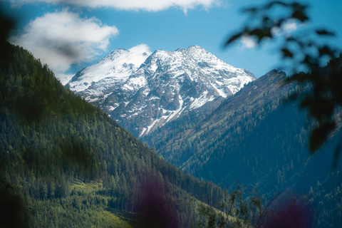 Traumhafter Bergblick (c) Daniel Kogler (Naturdorf Oberkühnreit)